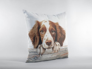 Polštář s potiskem - Welsh Springer Spaniel